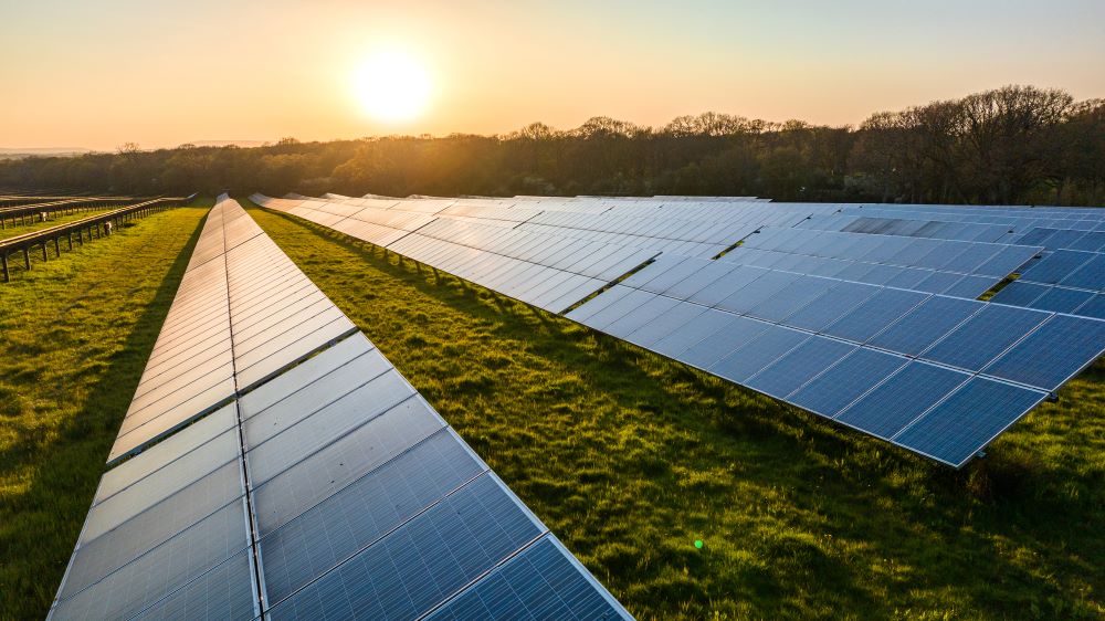 Solar panels arranged in rows on a grassy field, reflecting the setting sun. The sky is clear, and the horizon features a line of trees. The sunlight casts long shadows from the panels across the grass.